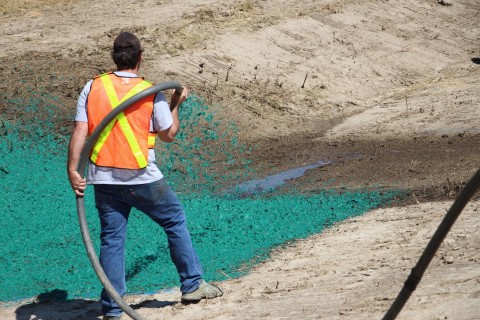 Hydroseeding