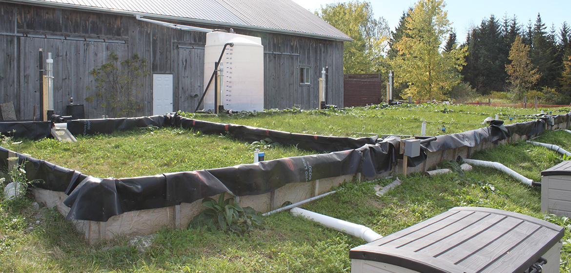 soil test plots at Kortright Centre