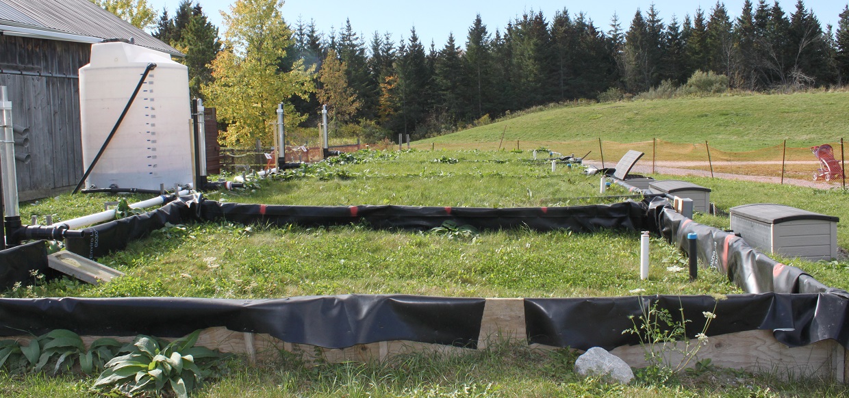 soil test plots at Kortright Centre for Conservation