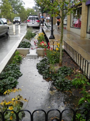 Rain Gardens - The Lake Simcoe Region Conservation Authority