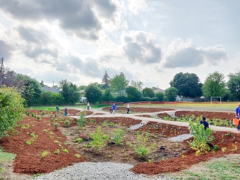 Glendale Public School Rain Garden Brampton Ontario