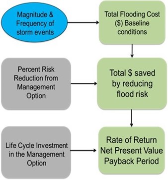 A flowchart showing the STEP Risk and Return on Investment Tool works. 