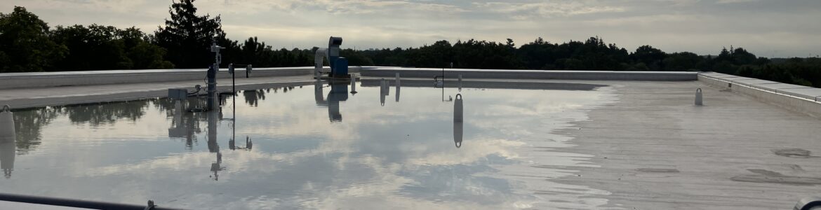 Rooftop storing water
