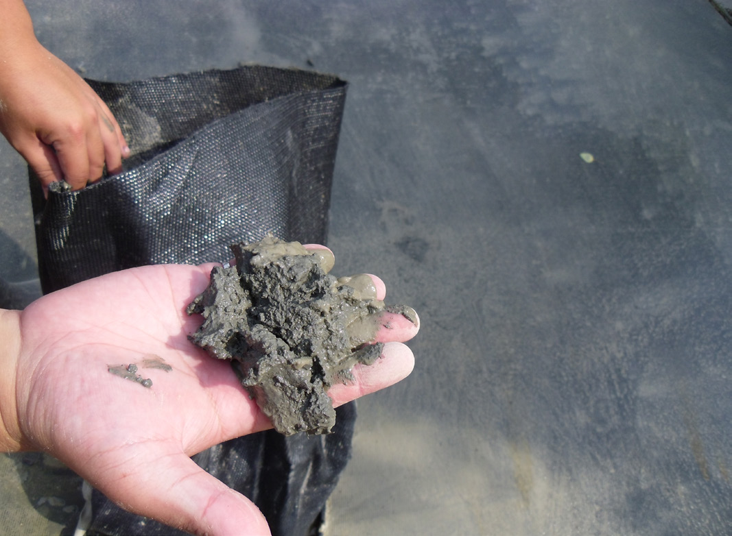 Figure 8. Level of sediment consolidation from within the dewatering bags. The soil is clumped in a hand.