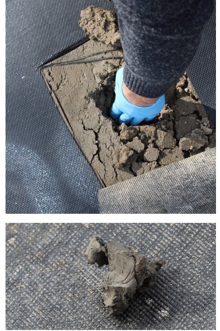 Figure 7. Consistency of Pond 4 sediment at the time of hauling, after two months in the Geotubes™. The sediment is drier, and can be clumped.